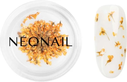 NEONAIL Dried Flowers 03 – Orange v:4238918 NEONAIL Dried Flowers 03 – Orange v:4238918