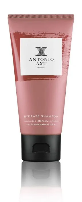 ANTONIO AXU Hydrate Shampoo travel-size 60 ml v:1695804