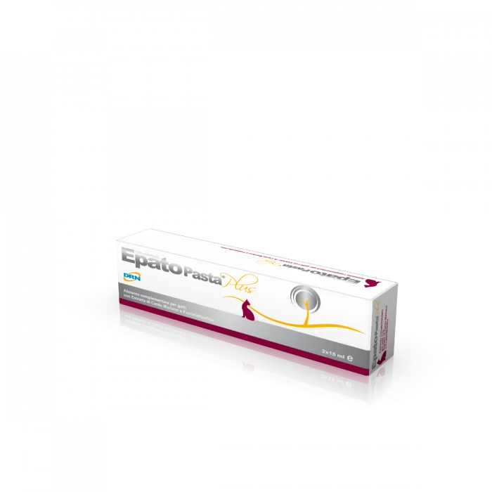 DRN Epato Pasta v:2926210 DRN Epato Pasta v:2926210