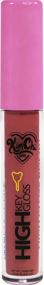 KimChi Chic High Key Gloss Full Coverage Lipgloss Summer Plum v:6704130